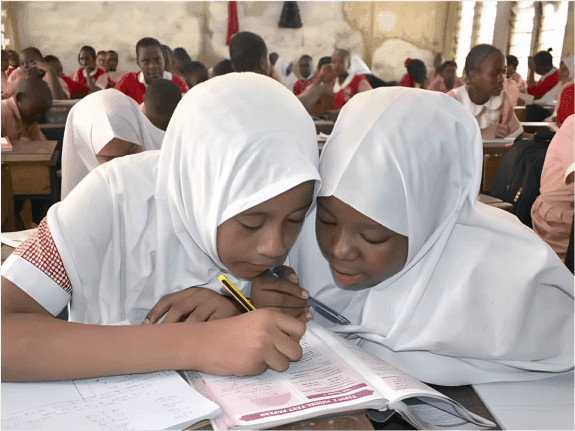 Two students in class working as a team to solve an academic challenge